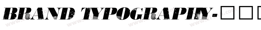 Brand Typography字体转换 Brand Typography字体转换